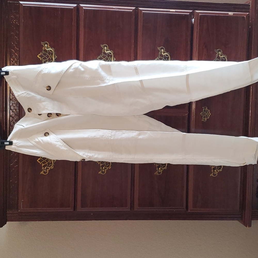 NWT Express Cargo pants